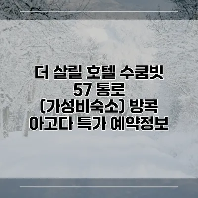 더 살릴 호텔 수쿰빗 57 통로 (가성비숙소) 방콕 아고다 특가 예약정보