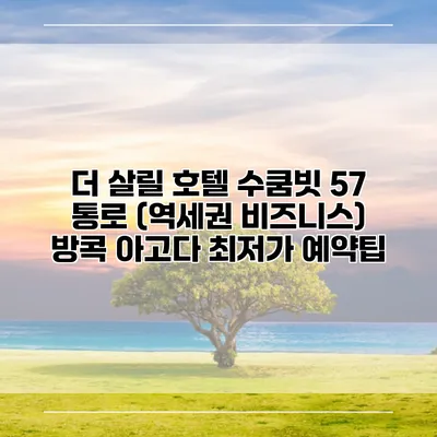 더 살릴 호텔 수쿰빗 57 통로 (역세권 비즈니스) 방콕 아고다 최저가 예약팁