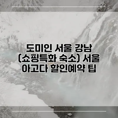 도미인 서울 강남 (쇼핑특화 숙소) 서울 아고다 할인예약 팁