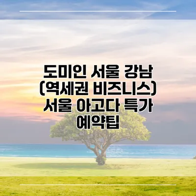 도미인 서울 강남 (역세권 비즈니스) 서울 아고다 특가 예약팁