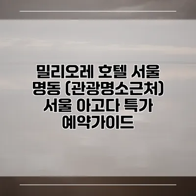 밀리오레 호텔 서울 명동 (관광명소근처) 서울 아고다 특가 예약가이드