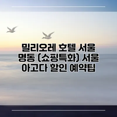 밀리오레 호텔 서울 명동 (쇼핑특화) 서울 아고다 할인 예약팁