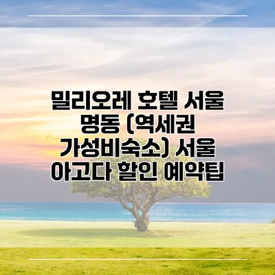 밀리오레 호텔 서울 명동 (역세권 가성비숙소) 서울 아고다 할인 예약팁