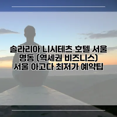 솔라리아 니시테츠 호텔 서울 명동 (역세권 비즈니스) 서울 아고다 최저가 예약팁