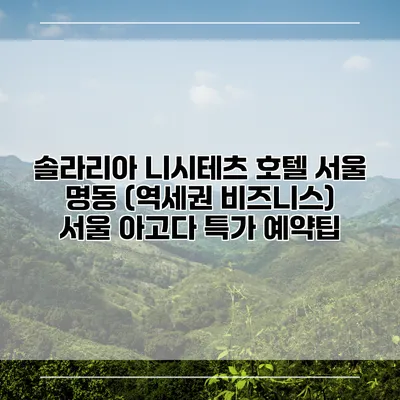 솔라리아 니시테츠 호텔 서울 명동 (역세권 비즈니스) 서울 아고다 특가 예약팁