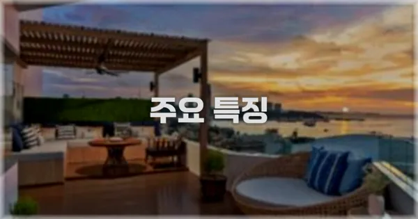 ✨ 주요 특징