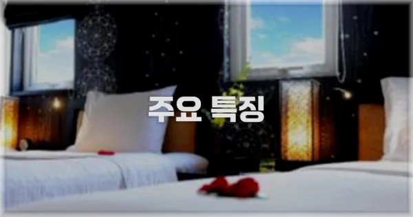 ✨ 주요 특징
