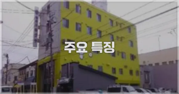 ✨ 주요 특징