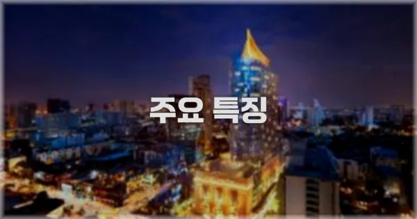 ✨ 주요 특징