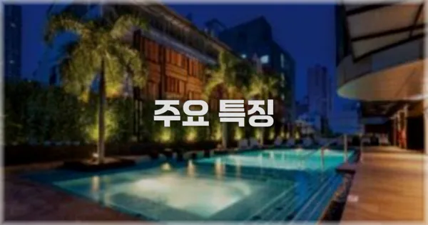 ✨ 주요 특징