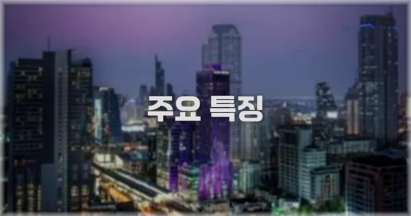 ✨ 주요 특징
