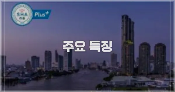 ✨ 주요 특징