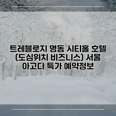 트레블로지 명동 시티홀 호텔 (도심위치 비즈니스) 서울 아고다 특가 예약정보