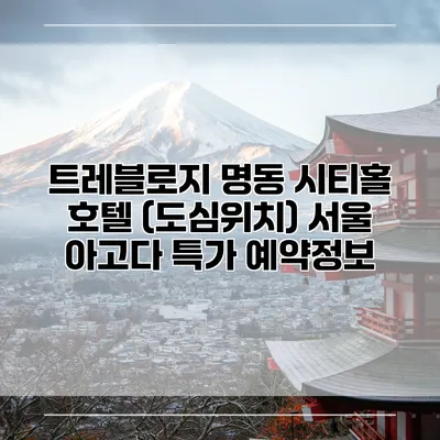 트레블로지 명동 시티홀 호텔 (도심위치) 서울 아고다 특가 예약정보