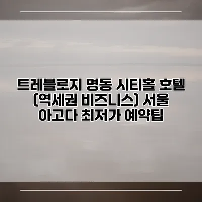 트레블로지 명동 시티홀 호텔 (역세권 비즈니스) 서울 아고다 최저가 예약팁