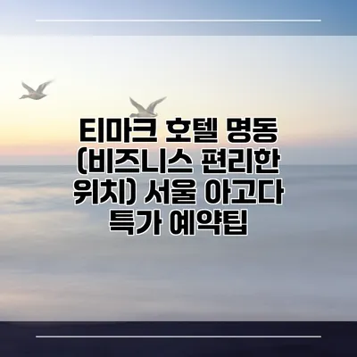 티마크 호텔 명동 (비즈니스 편리한 위치) 서울 아고다 특가 예약팁
