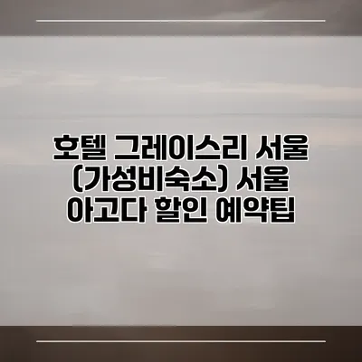 호텔 그레이스리 서울 (가성비숙소) 서울 아고다 할인 예약팁