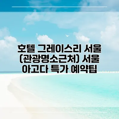 호텔 그레이스리 서울 (관광명소근처) 서울 아고다 특가 예약팁