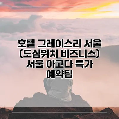 호텔 그레이스리 서울 (도심위치 비즈니스) 서울 아고다 특가 예약팁