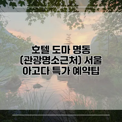 호텔 도마 명동 (관광명소근처) 서울 아고다 특가 예약팁