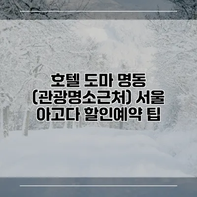 호텔 도마 명동 (관광명소근처) 서울 아고다 할인예약 팁