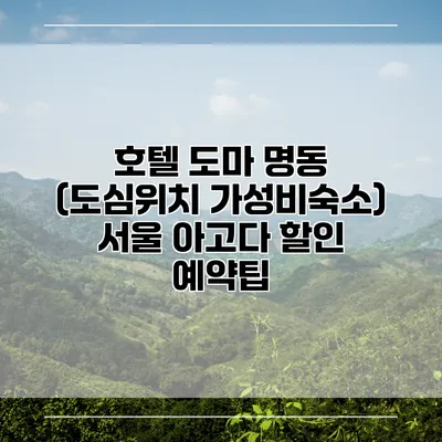 호텔 도마 명동 (도심위치 가성비숙소) 서울 아고다 할인 예약팁
