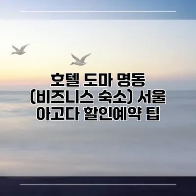호텔 도마 명동 (비즈니스 숙소) 서울 아고다 할인예약 팁