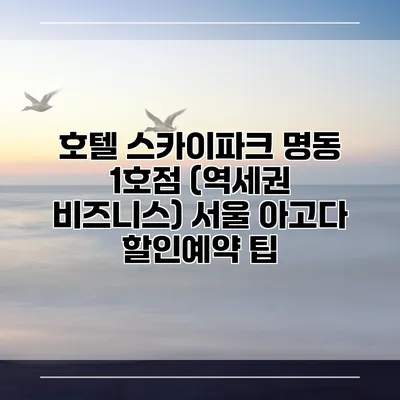 호텔 스카이파크 명동 1호점 (역세권 비즈니스) 서울 아고다 할인예약 팁