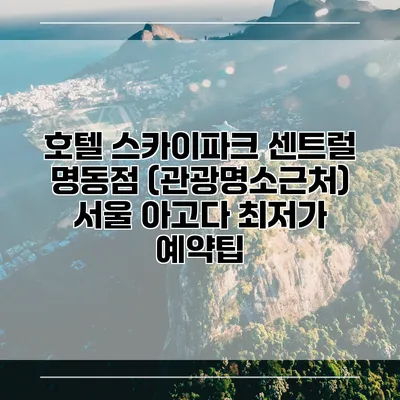호텔 스카이파크 센트럴 명동점 (관광명소근처) 서울 아고다 최저가 예약팁