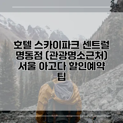 호텔 스카이파크 센트럴 명동점 (관광명소근처) 서울 아고다 할인예약 팁