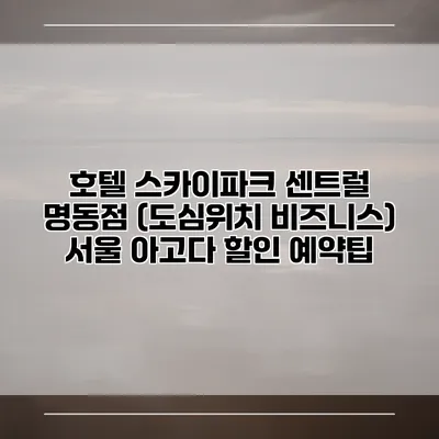 호텔 스카이파크 센트럴 명동점 (도심위치 비즈니스) 서울 아고다 할인 예약팁