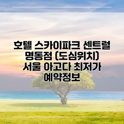 호텔 스카이파크 센트럴 명동점 (도심위치) 서울 아고다 최저가 예약정보