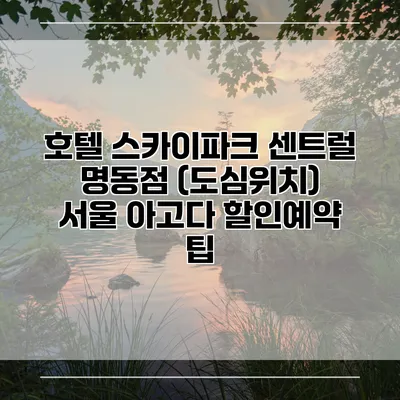 호텔 스카이파크 센트럴 명동점 (도심위치) 서울 아고다 할인예약 팁