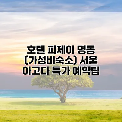 호텔 피제이 명동 (가성비숙소) 서울 아고다 특가 예약팁